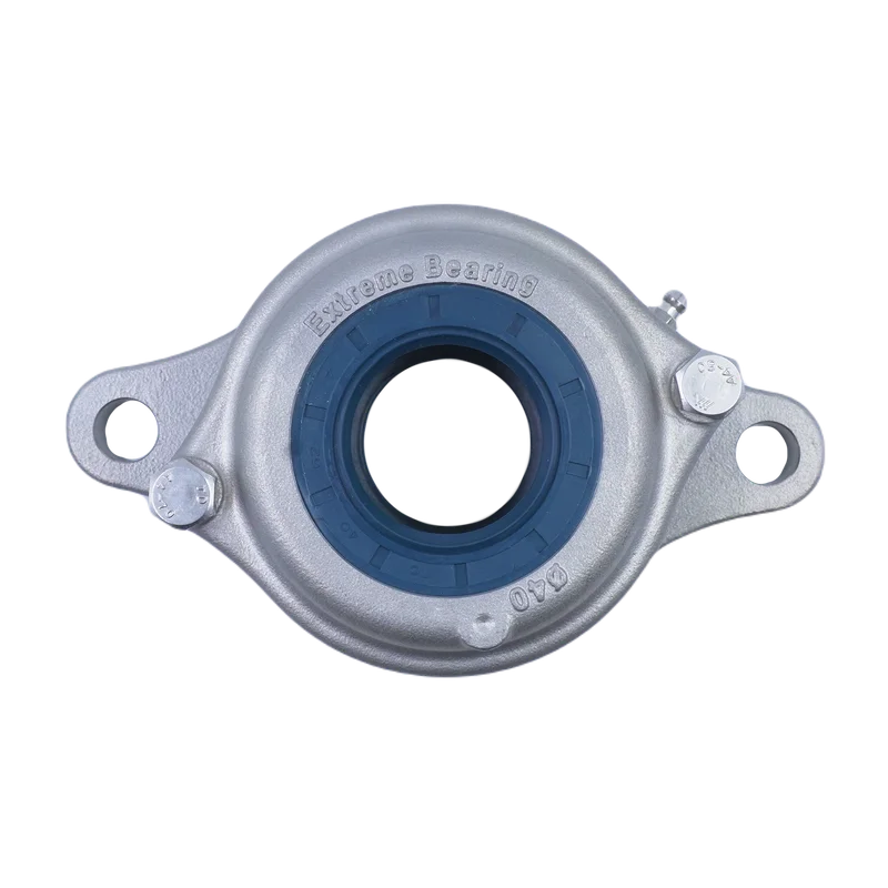 SS316 2-Bolt Oval Flange Bearing Unit (EXW)