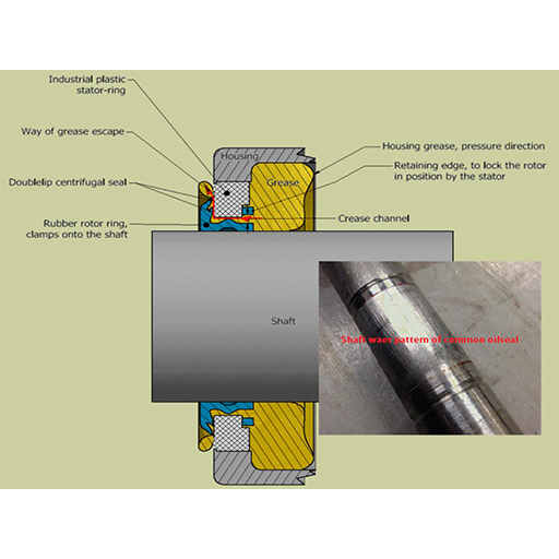 Bearing Radial seals wearing the shaft